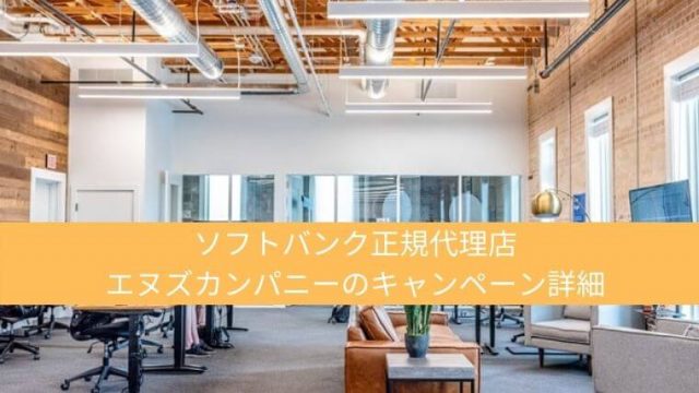 エヌズカンパニーのキャンペーン