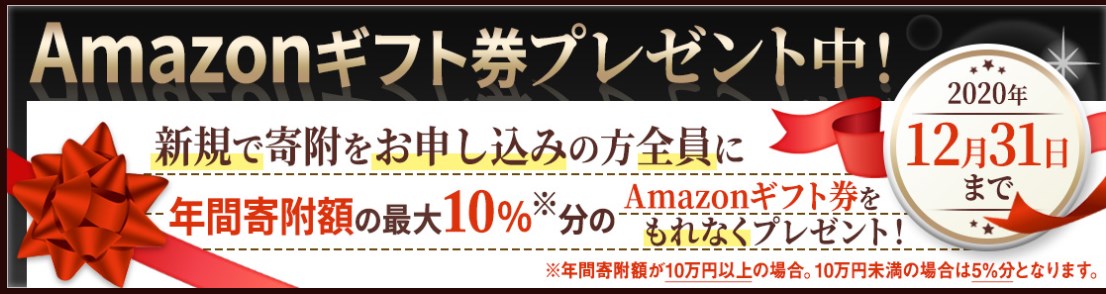 ふるサポーターズAmazonギフト券